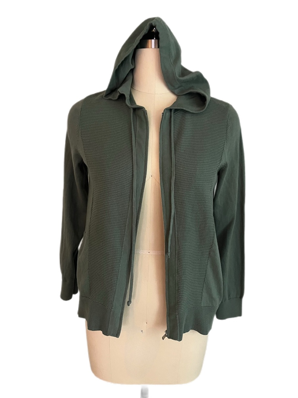 Carlisle Cotton Cashmere Hooded Sweater in Laurel Wreath Green, NWT